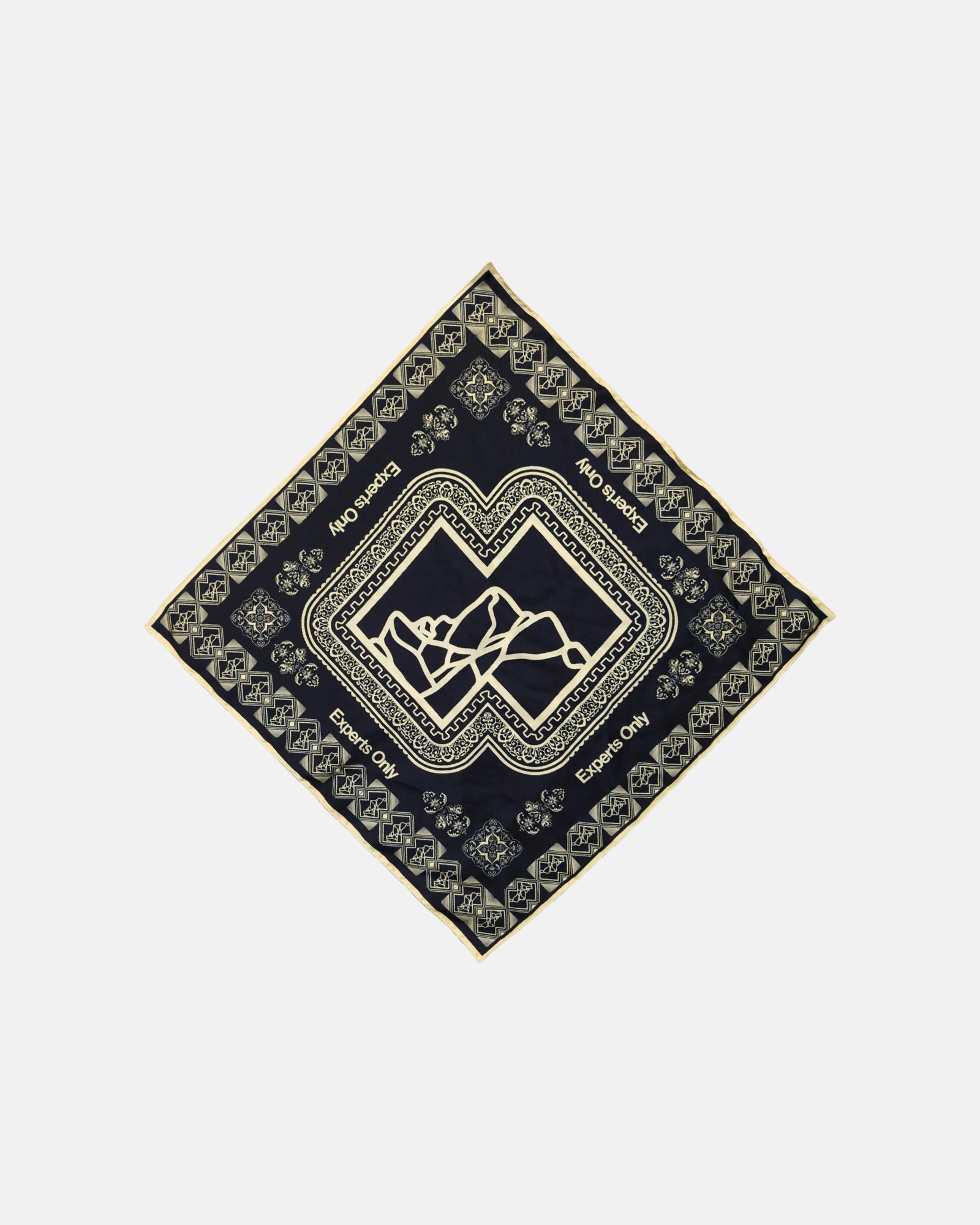 Experts Only Silk Scarf